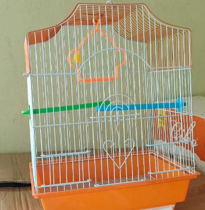 Parrot cage