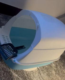 Enclosed Litter Box